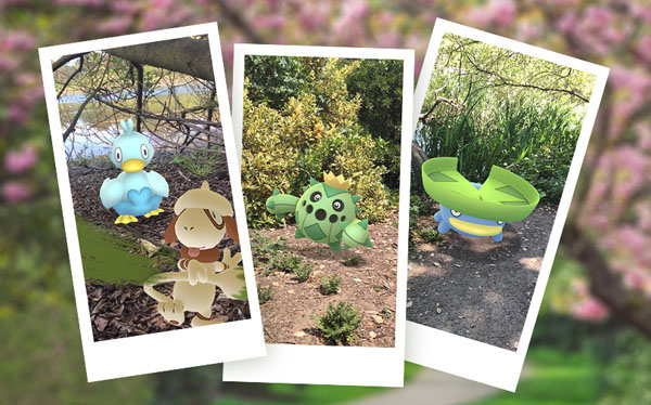 pokemon snap with a special event