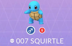Squirtle